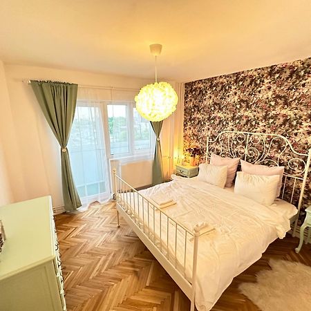 Simba Residence Temesvár Kültér fotó